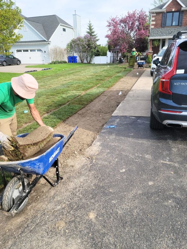 Landscaping project